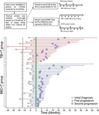 Triple-drug Therapy With Bevacizumab, Irinotecan, and Temozolomide Plus Tumor Treating Fields for Recurrent Glioblastoma: A Retrospective Study